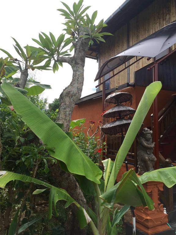 Mahogany Cottage Gili Meno Chambre photo